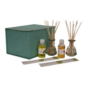 Solid Mango Wood Adira Glass Bottle Diffuser Set (Mandarin & Apple Cinnamon)