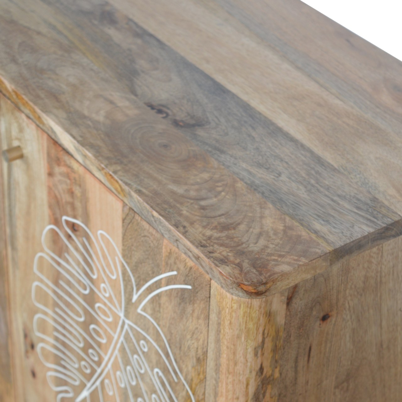 Solid Mango Wood Lead Embossed Resin Cabinet - Image 5